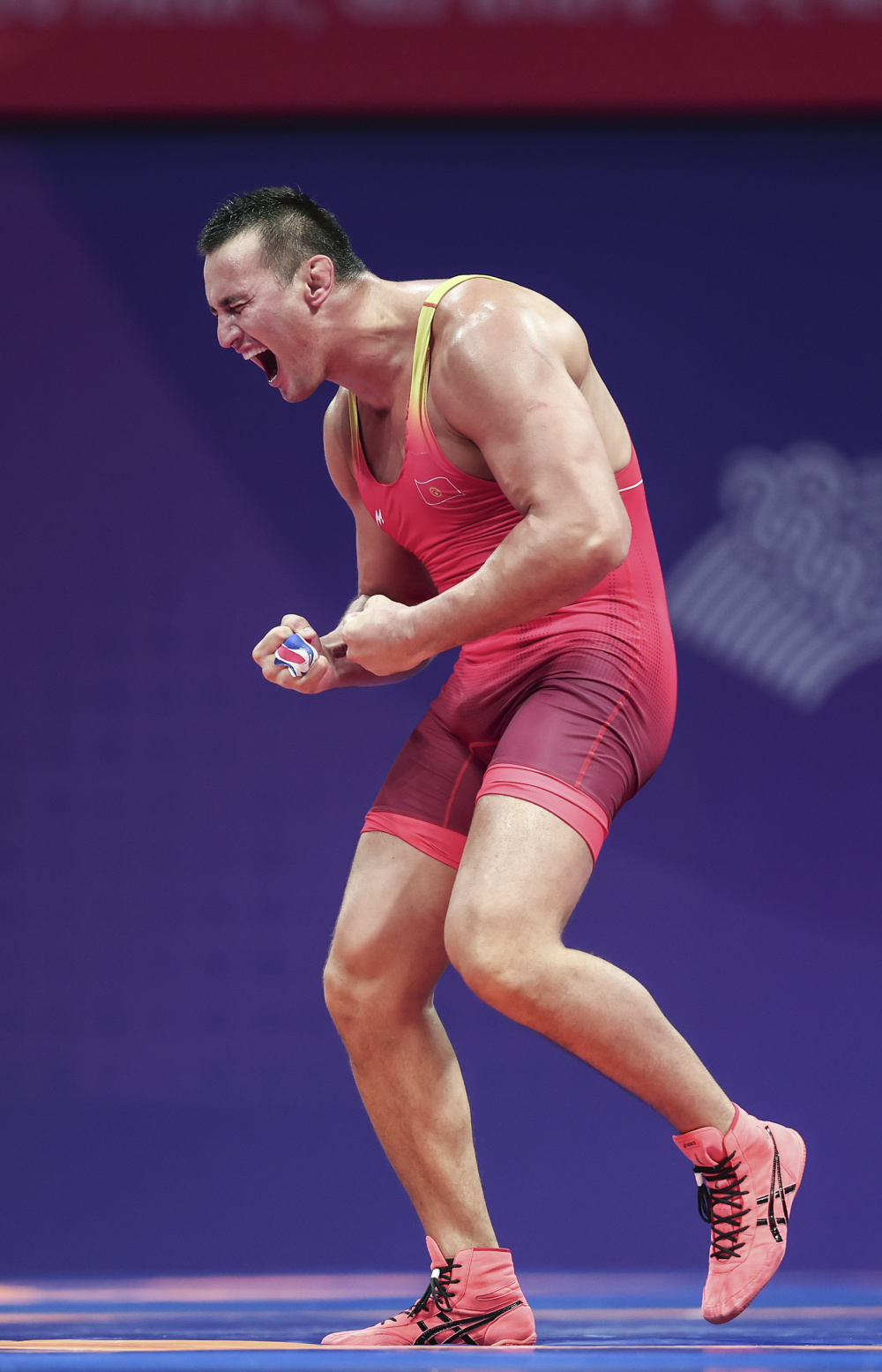 摔跤——男子自由式125公斤级赛况(2)