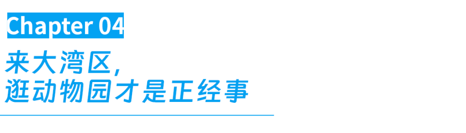 全世界会玩的人，都来广东过年了？