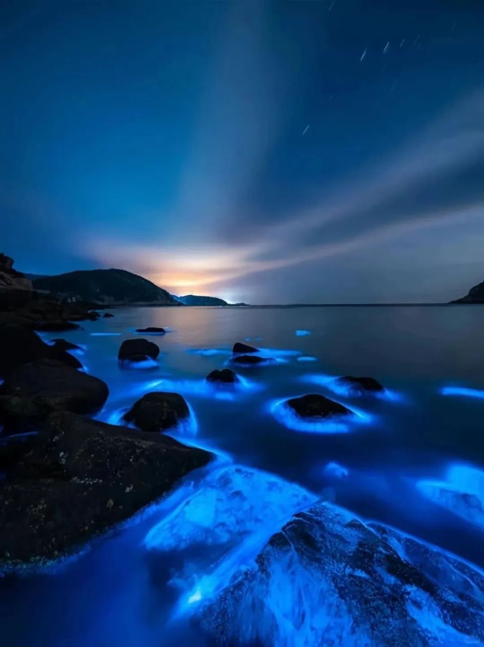 又到一年一度蓝眼泪爆发季!