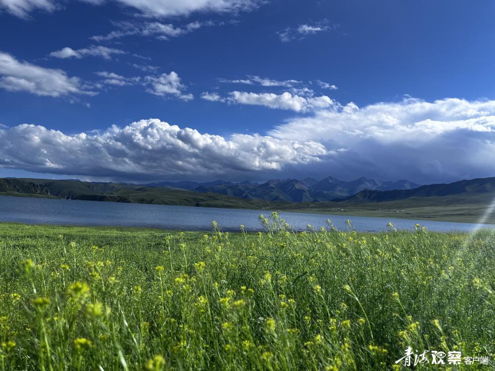 青海祁连再现一网红打卡地