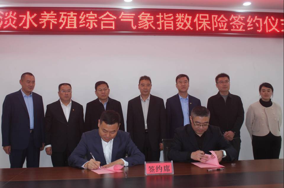 全新首页焕新登场