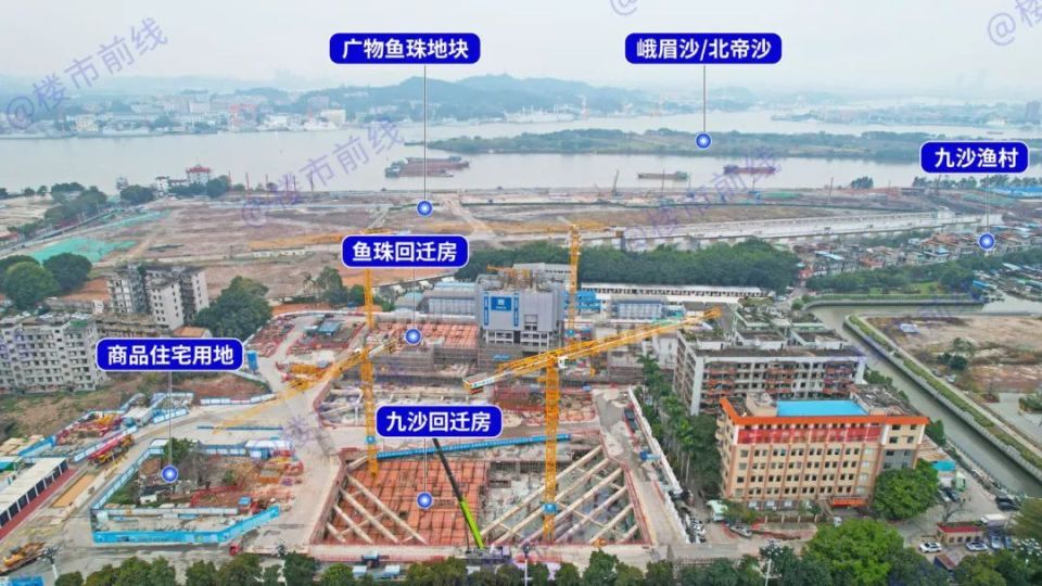 鱼珠竟然偷偷进化成这样了