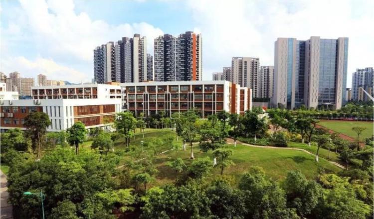 深圳科学高中:"魔法学校"究竟有何神奇?_腾讯新闻