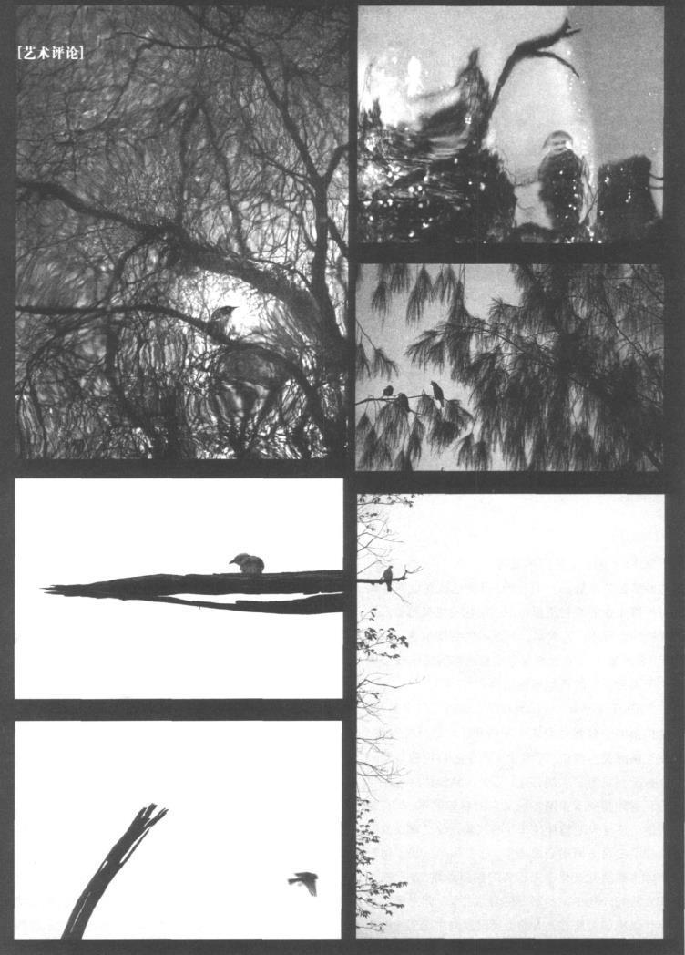 一时一地,在全世界看到东方美