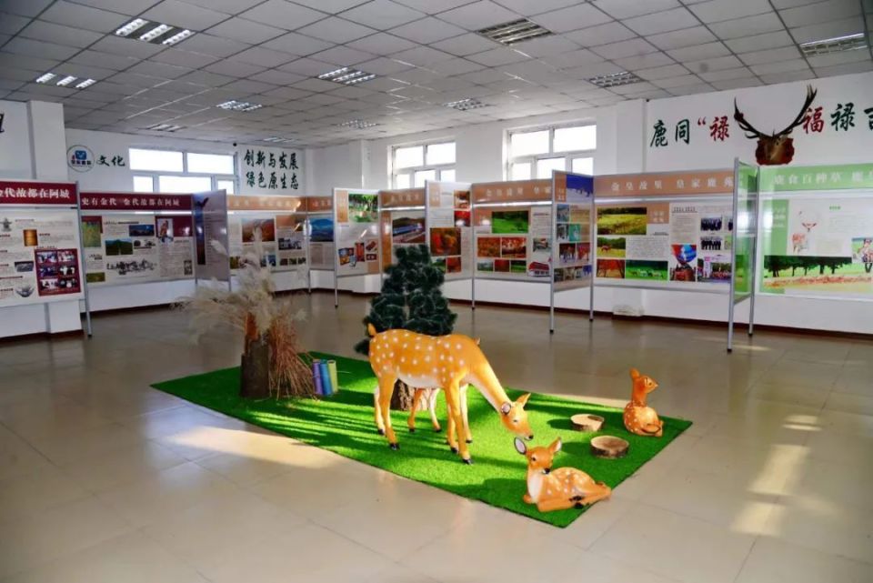 森工平山皇家鹿苑清明假期开园迎宾