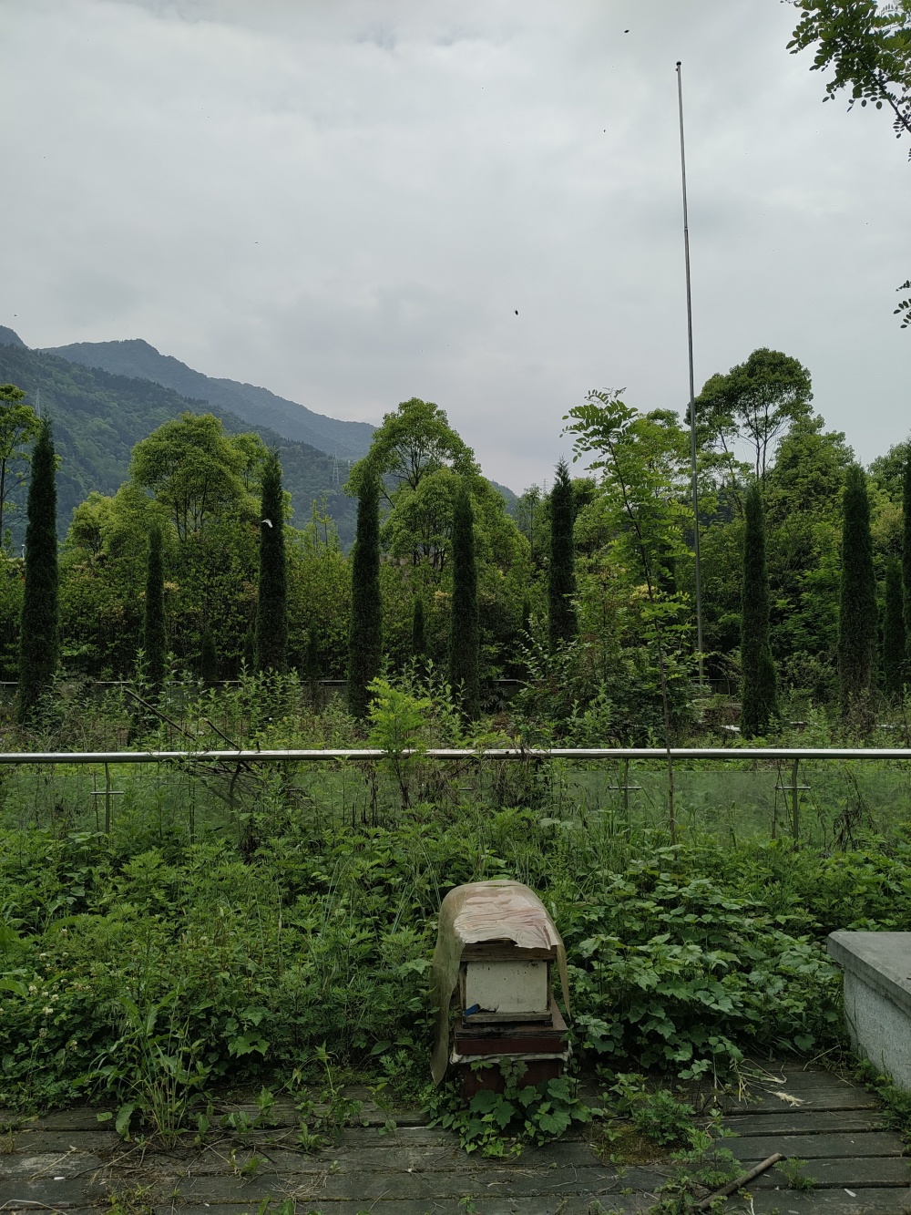 汶川地震15年后,两个映秀女孩的涅槃新生