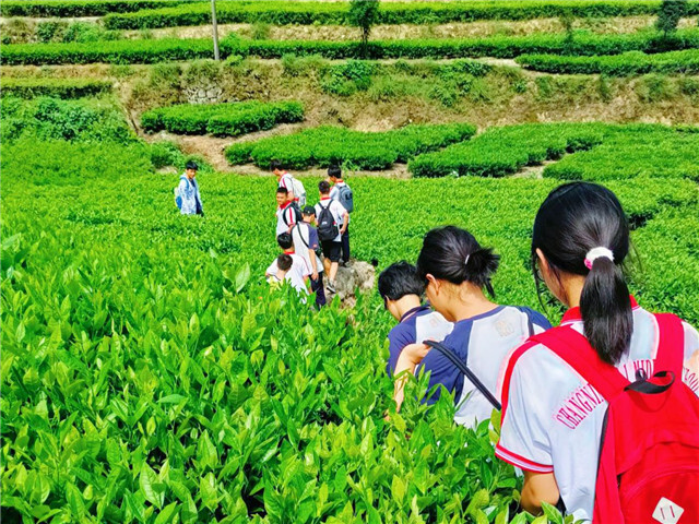 两校研学会上,常宁一中特级教师陈京龙叮嘱同学们:"你们在实践中收获