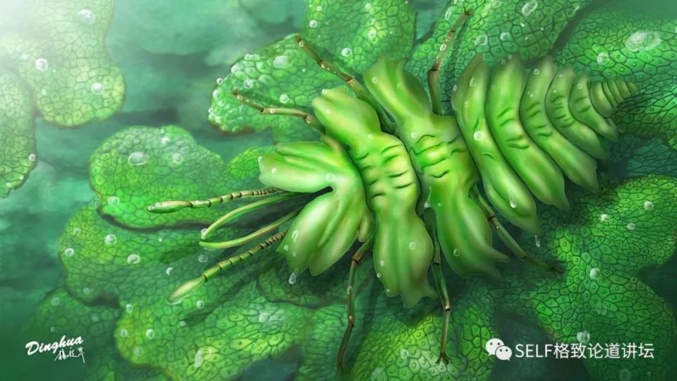 入了琥珀这个"坑",我才发现地球上曾经存在过这么奇特的生物 | 王博