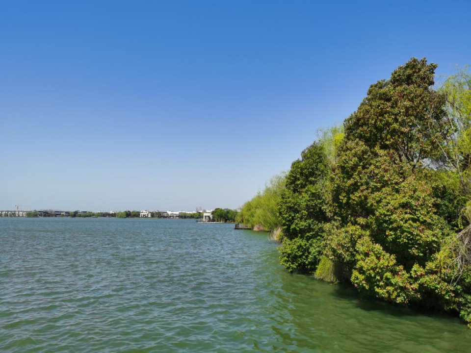 春日"沪"水游丨大淀湖,写意湖畔生活美学