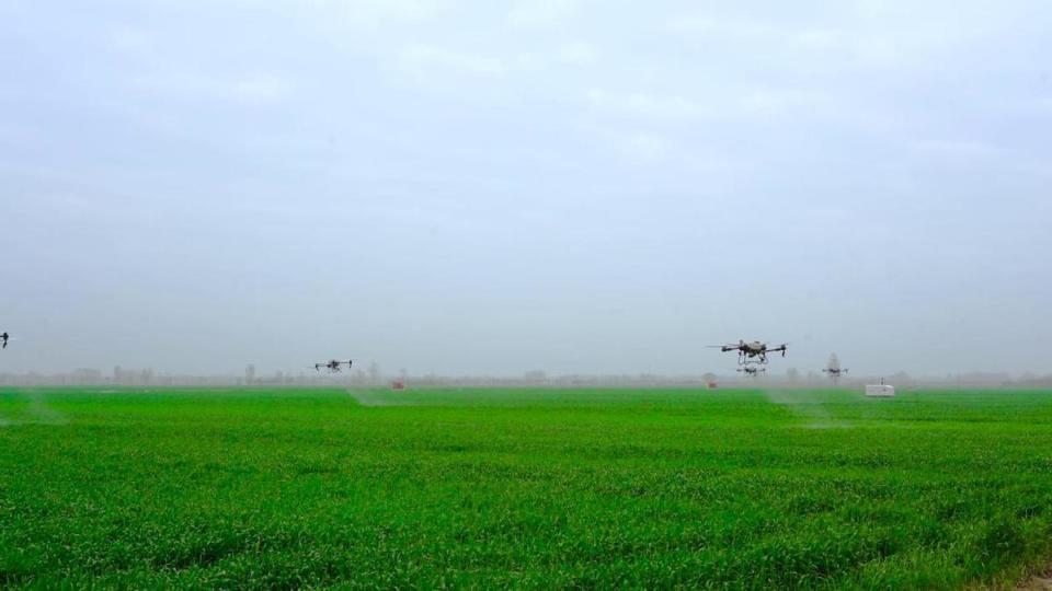 河南淮滨农机社会化服务助农增收