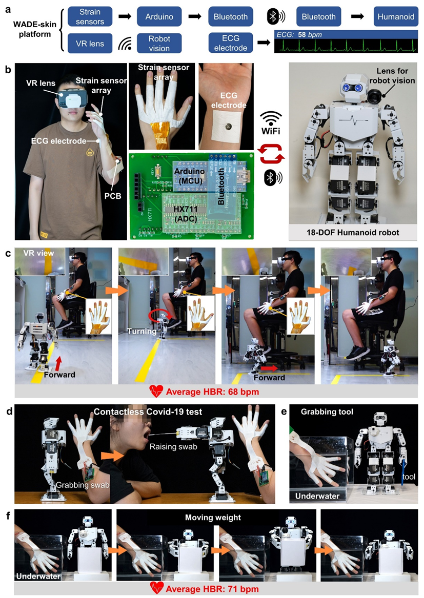 香港理工大学郑子剑，黄琪瑶团队《AM》：湿适应电子皮肤_腾讯新闻
