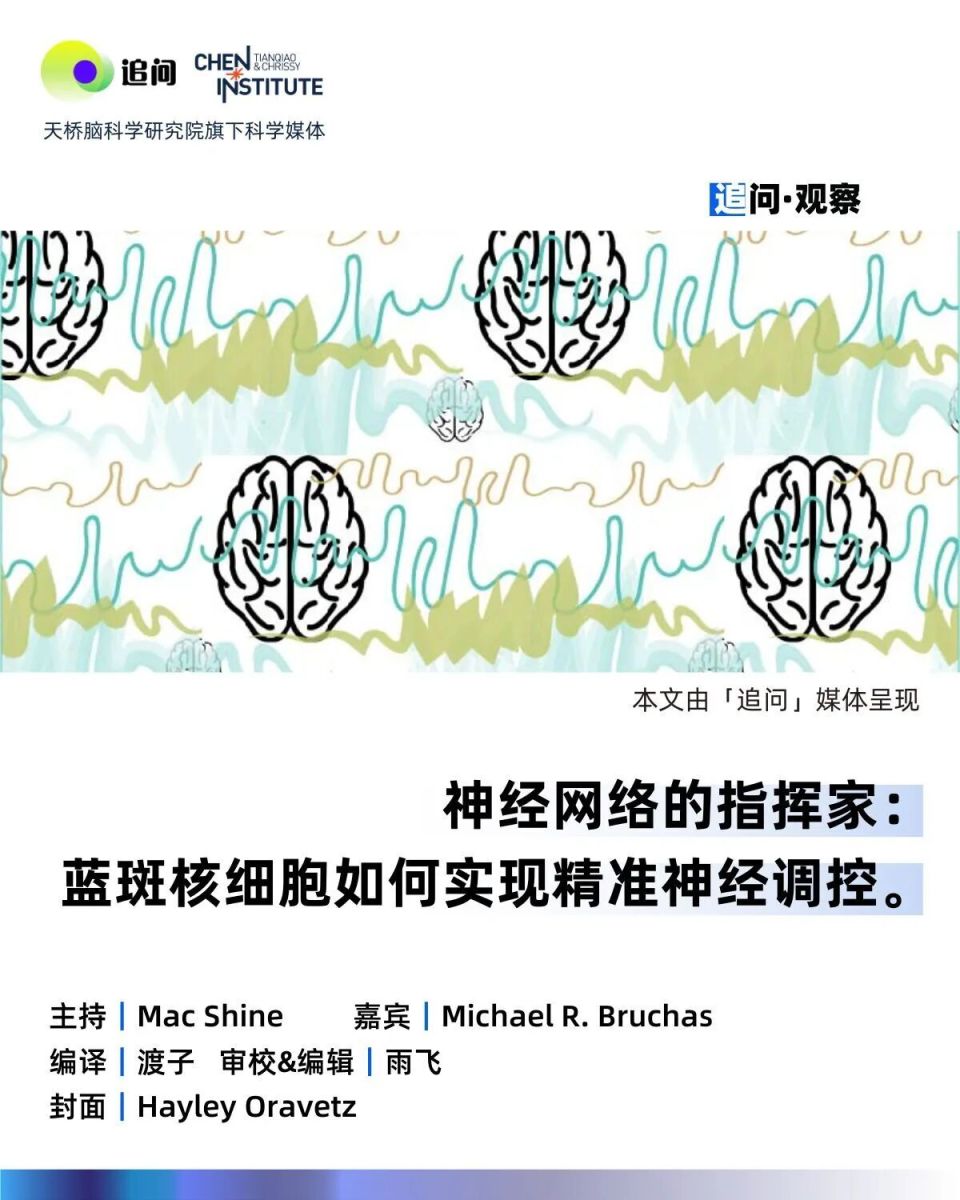 我们找到了大脑觉醒的总开关……旁边的微调旋钮？-腾讯新闻