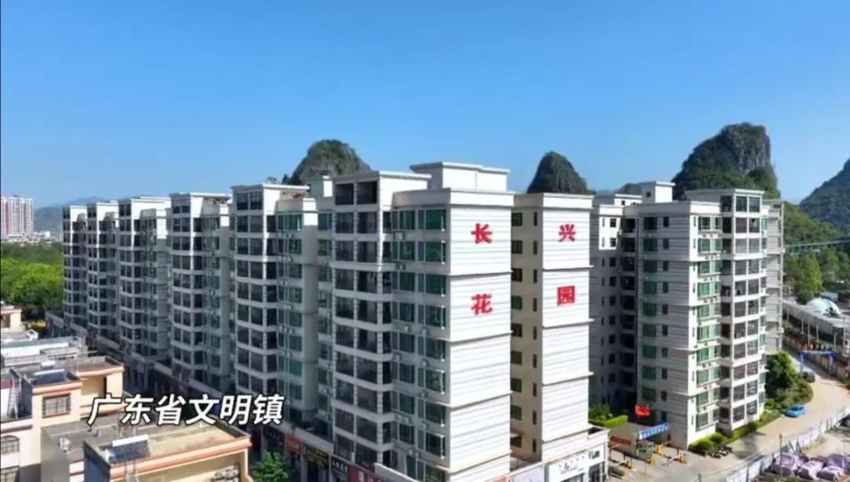 并依托袁隆平院士团队超级杂交有机水稻示范基地,为阳春市打造粤港澳