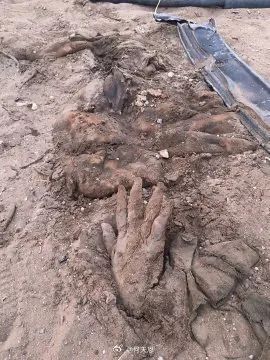 第1396期(下)_腾讯新闻