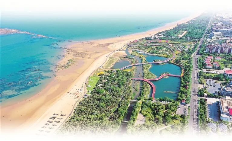 踔厉奋发新征程丨生态修复扮靓蓝色海岸