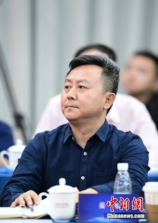 参会嘉宾北京外国语大学国际新闻与传播学院院长姜飞