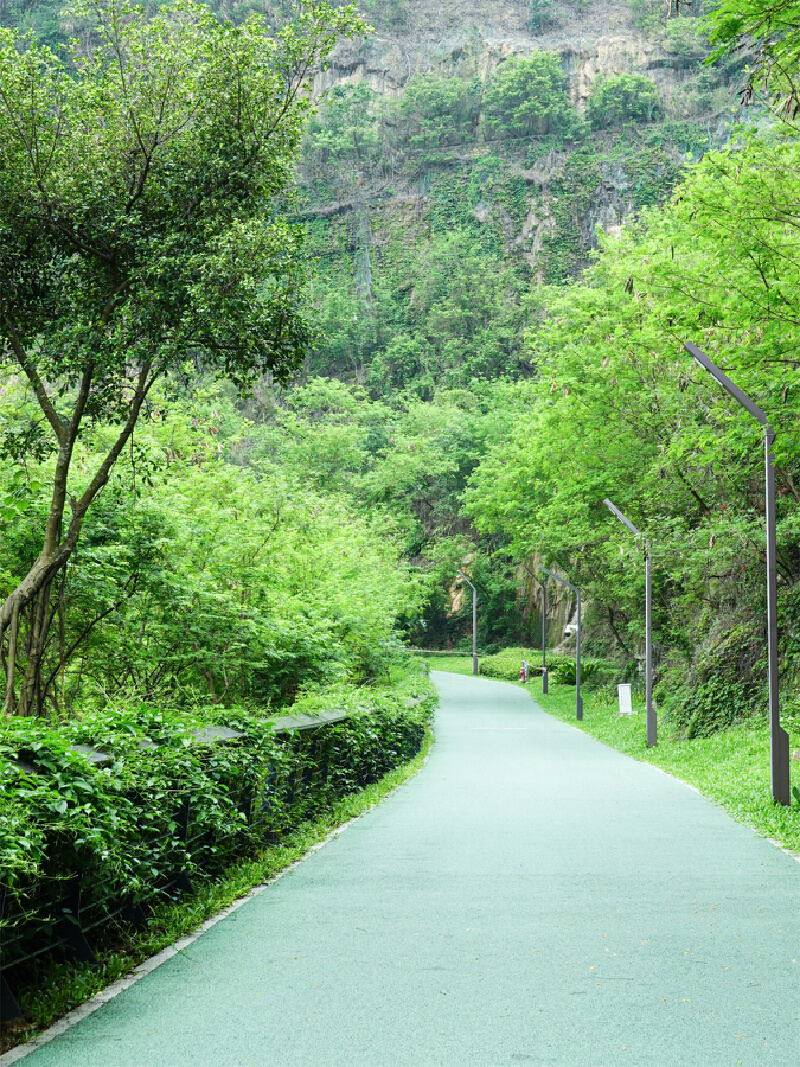 龙华人才绿道,北起深圳北站中心公园,途经亚寄山,南至南坪快速玉龙
