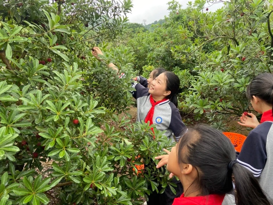 浙江兰溪遇难女孩照片图片