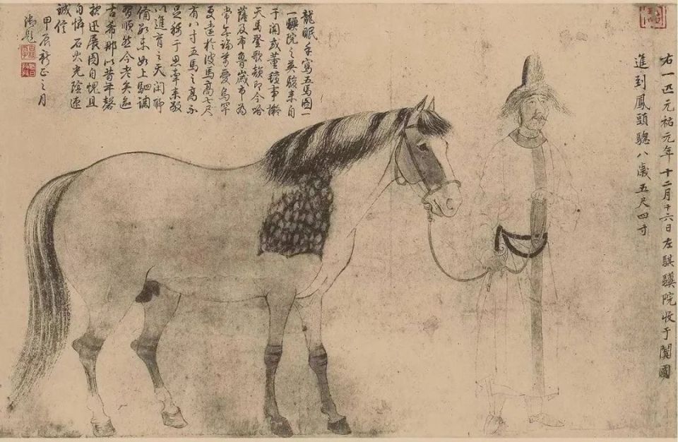 宋代名画《五马图》中的神马——“锦膊骢”竟然出现在内蒙古这里……_腾讯新闻