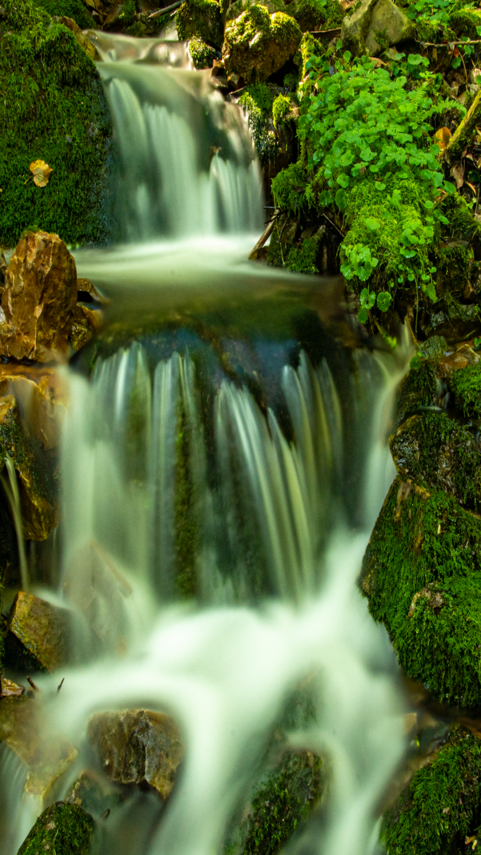 长白山之夏 | 抓住江源夏天的尾巴~这样的壁纸,真的很city!