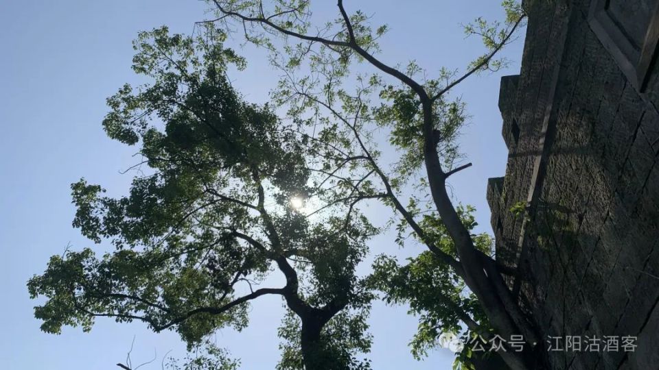 泸州神臂城"孙孙打婆,改州换县"的传说,藏着令人发指的秘密