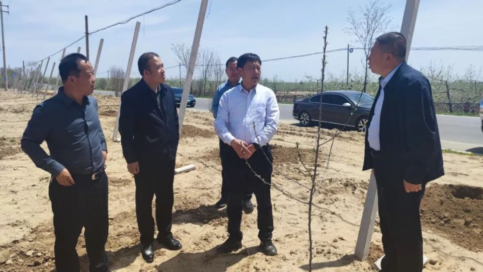 张晶调研各镇街当前重点工作开展情况