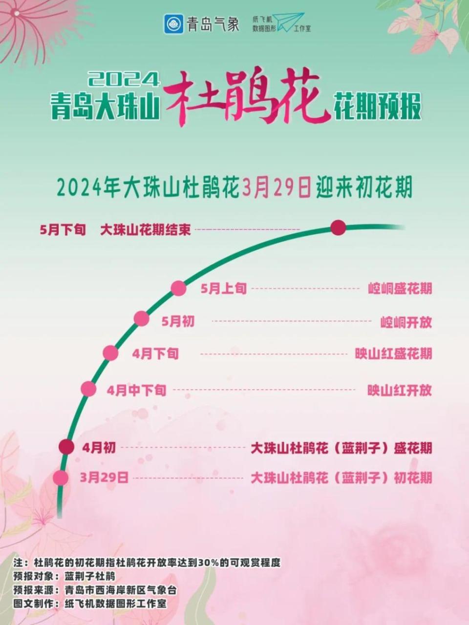 2024青岛大珠山杜鹃花预报新鲜出炉_腾讯新闻