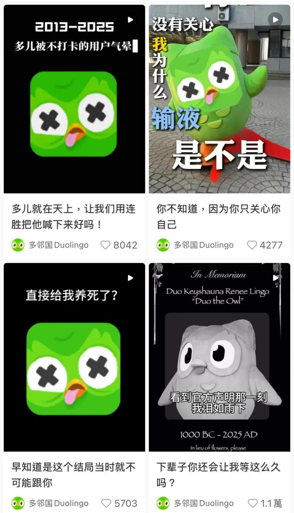 多儿“死去活来”，“幕后黑手”多邻国做了什么？_腾讯新闻