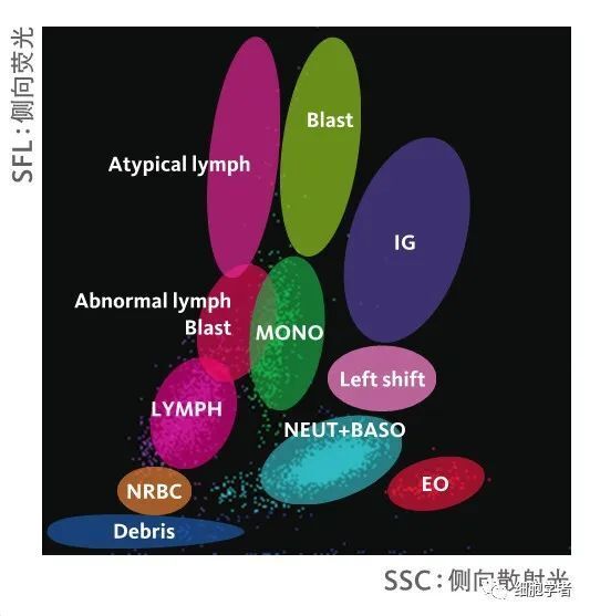 看懂血常规散点图，这一篇就够了！_腾讯新闻