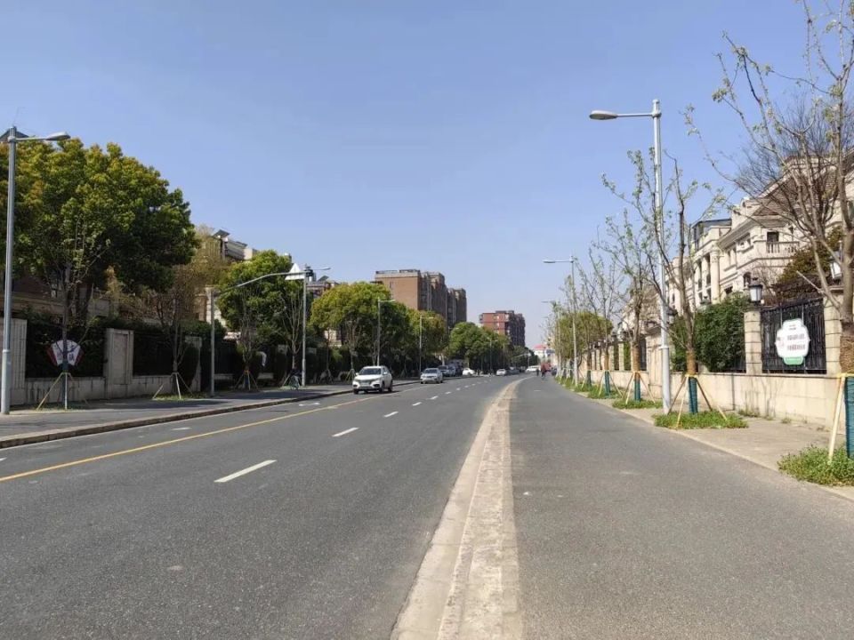 "混血美人"惊艳民府路,你遇到了吗?