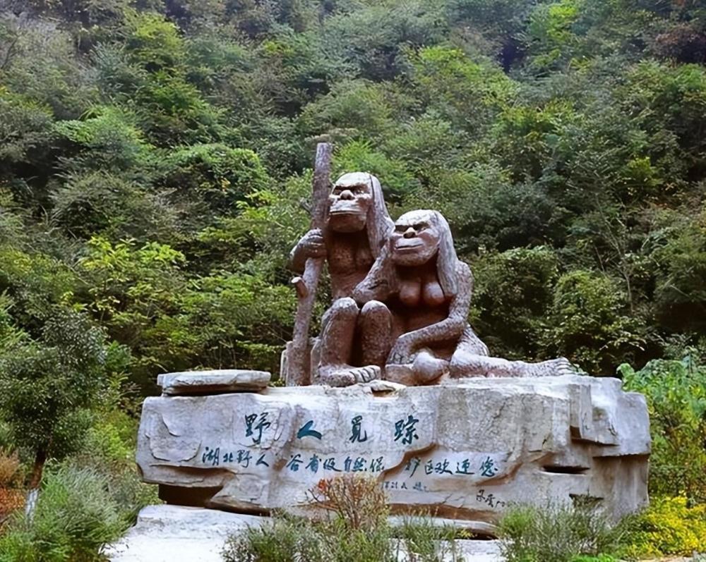 神农架深处被列为禁区除野人外还有两大神秘至今无法解释