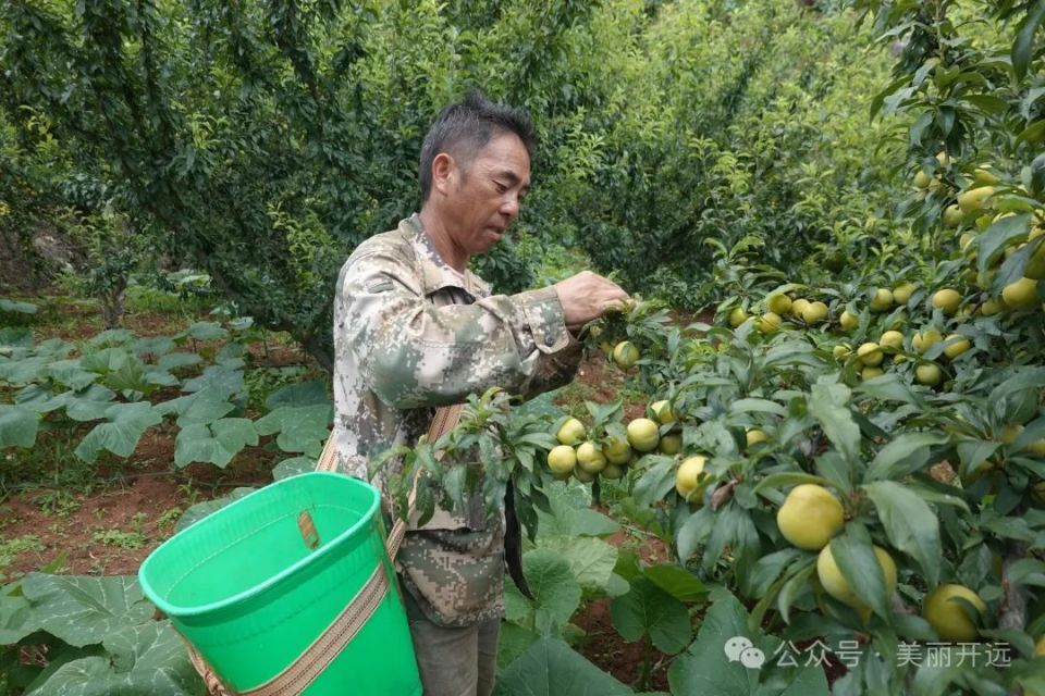 甜蜜蜜(甜蜜蜜免费全集在线观看)