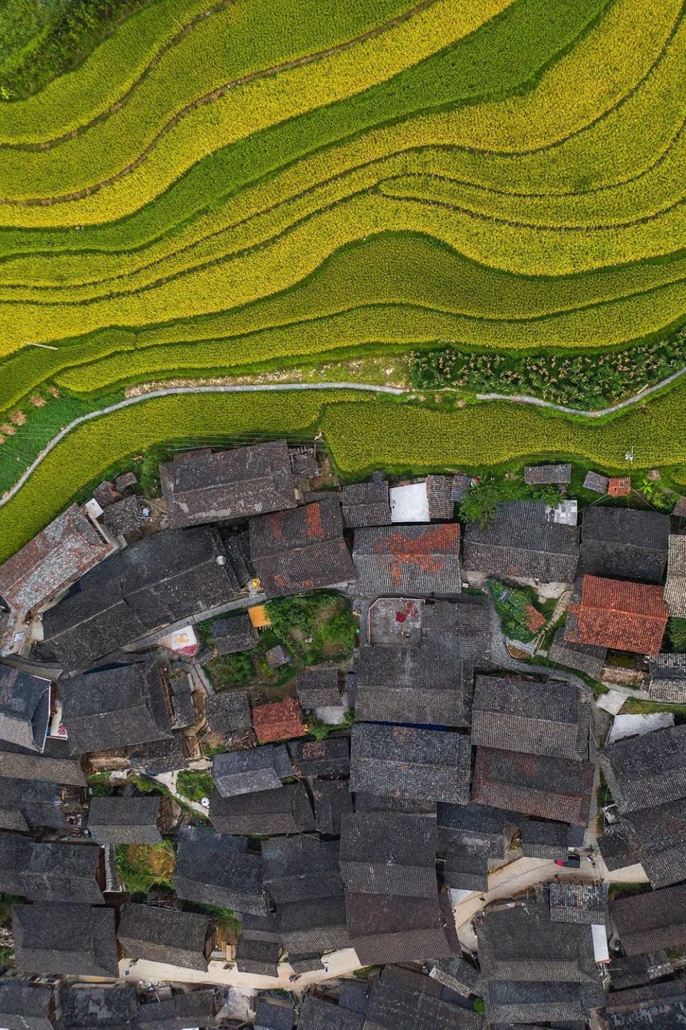 什么是中国乡村旅游1号公路?