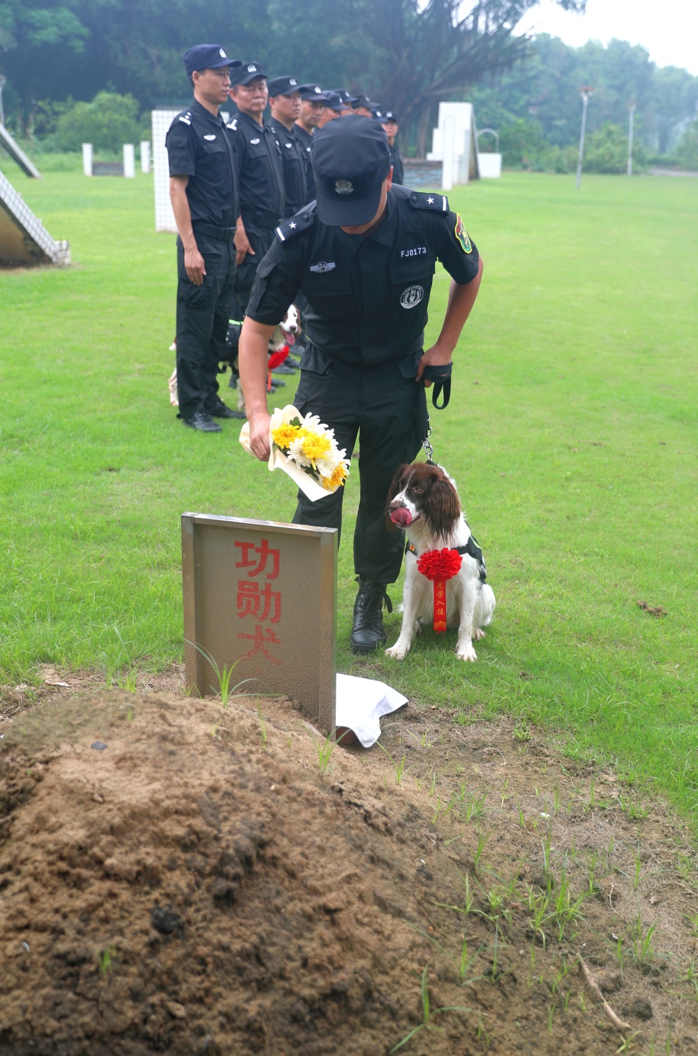 佛山公安警犬基地举行警犬退役与新犬入列仪式