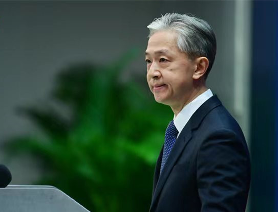 外交部：中方对旅泰大熊猫“林惠”离世感到难过和惋惜刷爆头条-313啦实用网