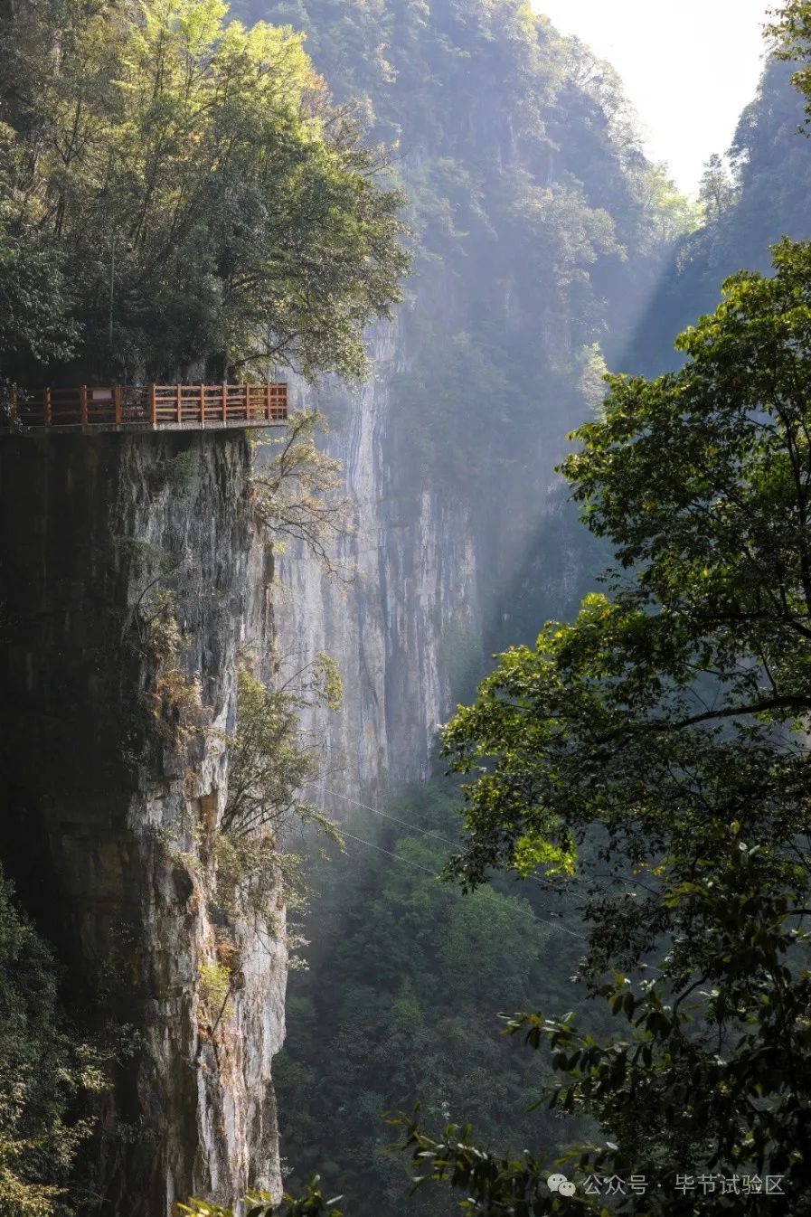 离毕节最近的旅游景点图片