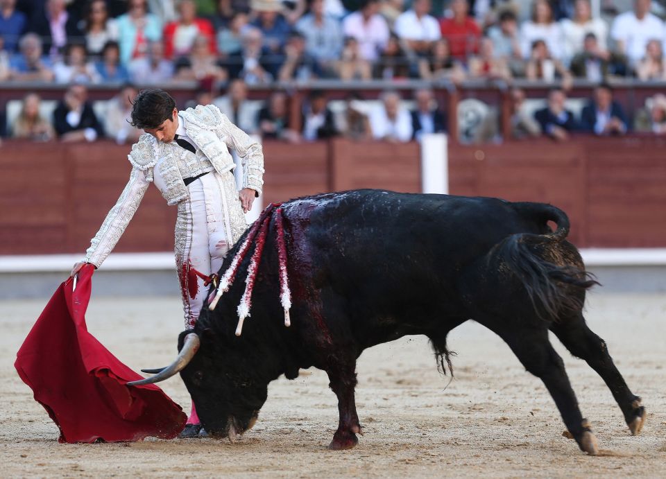 西班牙:斗牛表演