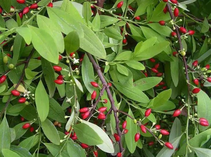 禁毒宣传 | "远离毒品,珍爱生命"——禁毒知识宣传