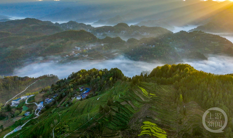 春影256上游主题摄影征稿作品展何毅作品