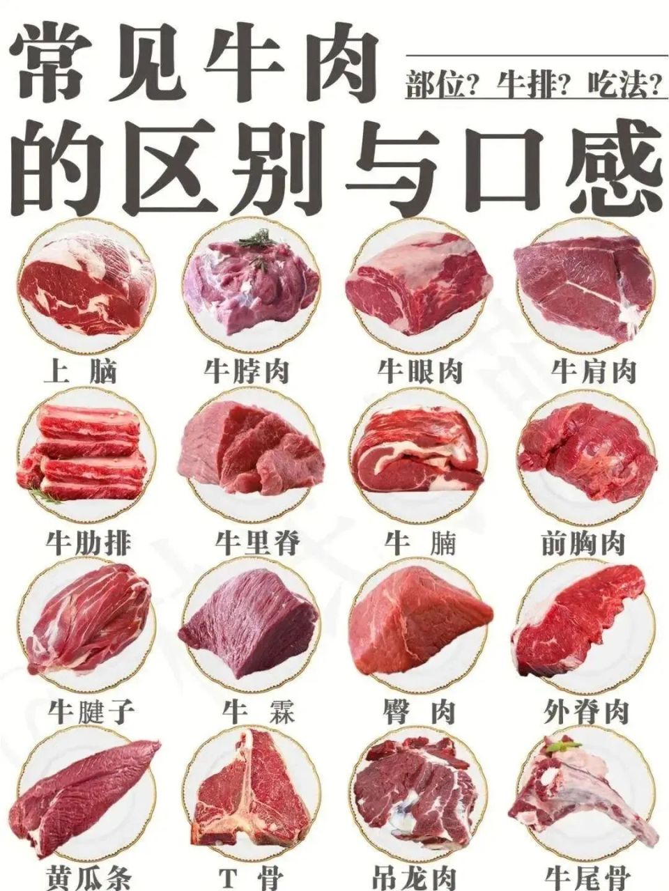 『知识分享·牛肉』肉中骄子「16种常见牛肉的区别,口感与吃法」