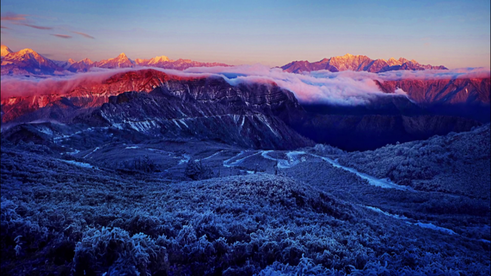 让蒋胜收获了很多,他曾先后获得四川省第十四,十五,十六届摄影艺术展