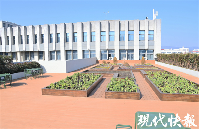 有顏又有趣南工大在校園屋頂造了一座花園