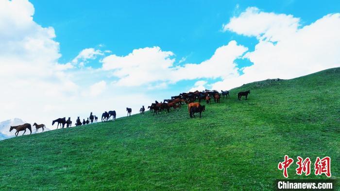新疆昭苏野狼谷:纳凉赏景好地方