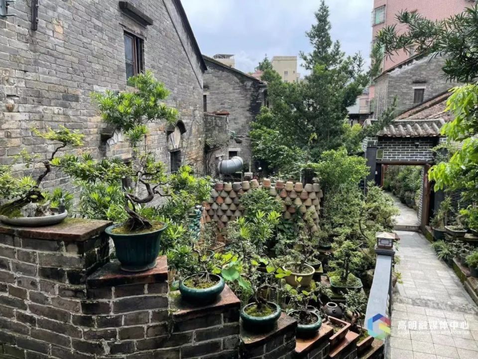 快来挑战评选"美丽庭院"