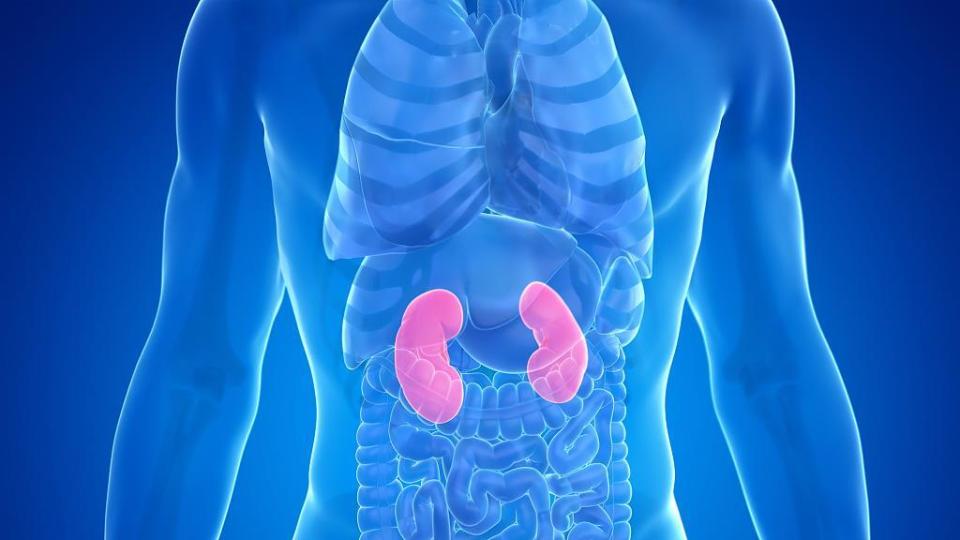 透支的肾是补不回来的这5个伤肾行为很多人都在做