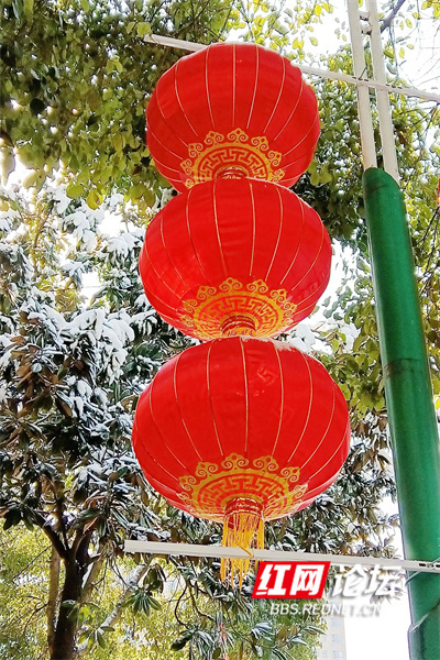 大红灯笼高高挂欢天喜地迎新年