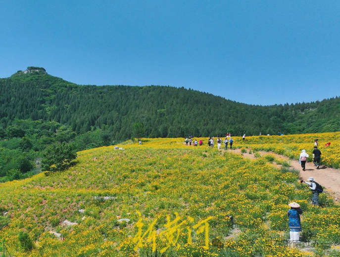 人人人人人人……济南这些打卡地,观泉,纳凉,赏花,挺火热