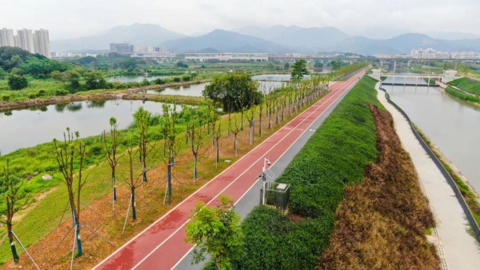 计划五一对外开放!东莞又一公园来了,约起来~_腾讯新闻