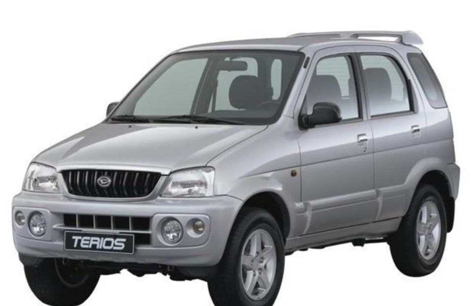 大发汽车曾与天津一汽合作生产"大发面包车"和"天津夏利"等车型,也在