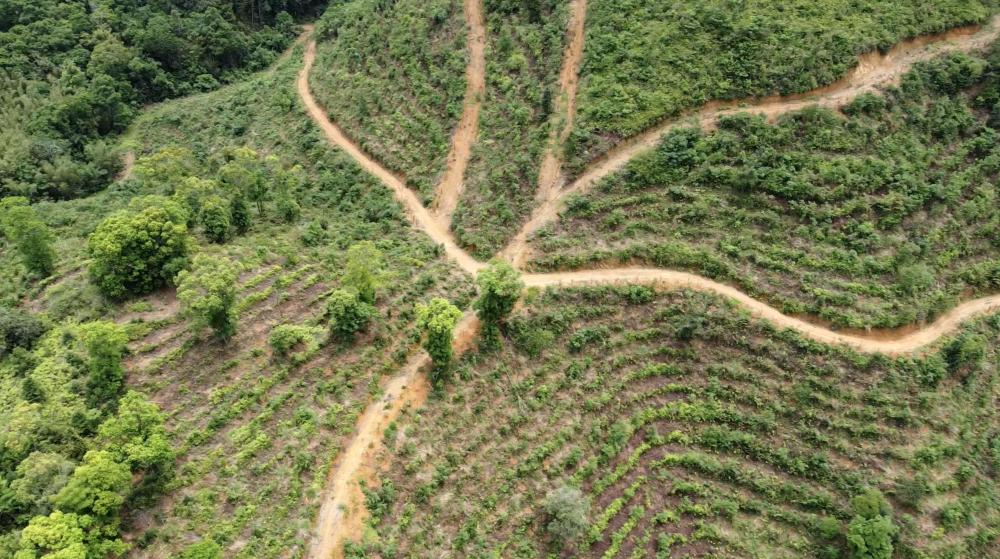 水管约800元/亩,若做水肥一体化灌溉系统约2000元/亩,带状整地约100